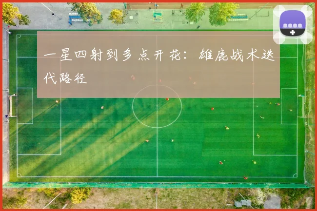 一星四射到多点开花：雄鹿战术迭代路径
