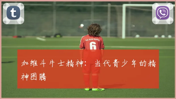 加维斗牛士精神：当代青少年的精神图腾