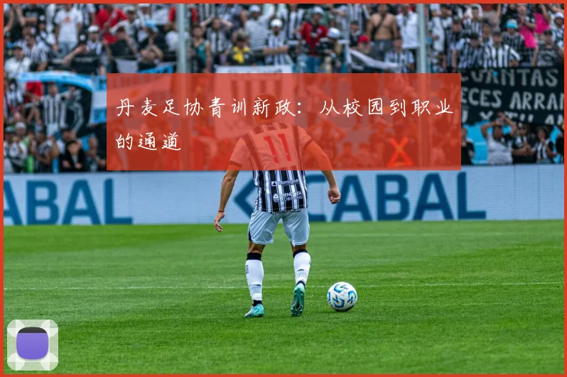 丹麦足协青训新政：从校园到职业的通道