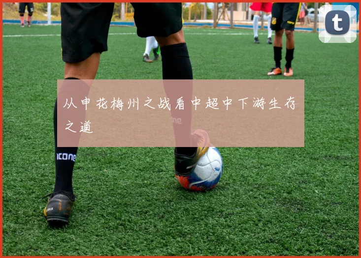 从申花梅州之战看中超中下游生存之道