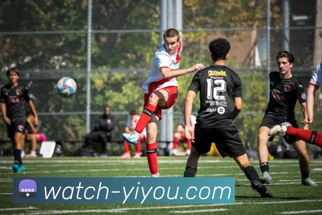 App Interface Preview